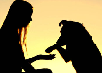 Φλώρινα: Ημερίδα με θέμα «Ζώα συντροφιάς και άνθρωποι» στις 16 Μαρτίου