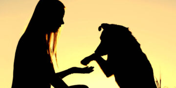 Φλώρινα: Ημερίδα με θέμα «Ζώα συντροφιάς και άνθρωποι» στις 16 Μαρτίου