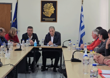 Γ. Αμανατίδης: Αναγκαία η τροποποίηση του κανονισμού του ΕΛΓΑ προς πολλές κατευθύνσεις – Συνάντηση με αγρότες