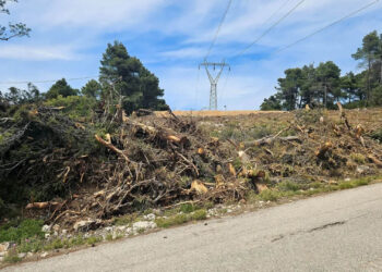 Ακαθάριστα οικόπεδα: Πρόστιμο έως 54.000 ευρώ – Όλη η διαδικασία