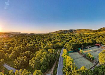 Κοζάνη: Καμπάνια Δράσης για το Κλίμα: Η Εμπειρία του Δάσους Κουρί