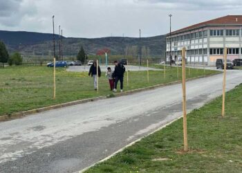 Αμύνταιο: 80 δέντρα φυτεύτηκαν στον αύλειο χώρο του ΓΕΛ και του ΕΠΑΛ