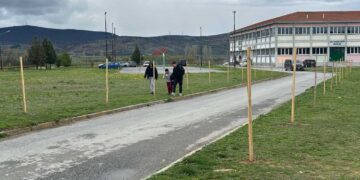 Αμύνταιο: 80 δέντρα φυτεύτηκαν στον αύλειο χώρο του ΓΕΛ και του ΕΠΑΛ