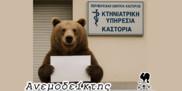 Όταν μια αρκούδα… επισκέπτεται την Κτηνιατρική Υπηρεσία! – Ο Ανεμοδείκτης σχολιάζει (25/4)