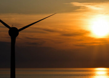 Ο παγκόσμιος περιβαλλοντικός οργανισμός CDP αναβάθμισε τη ΔΕΗ για τις πράσινες δράσεις της