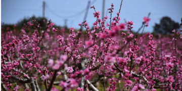 Αίθριος καιρός και άνοδος της θερμοκρασίας στο μεγαλύτερο κομμάτι της χώρας σήμερα