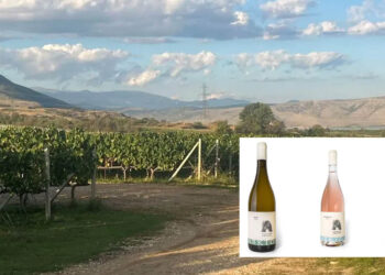 Arktos Elevation Vineyards: Το νέο εγχείρημα του Αρτέμη Καραμολέγκου στο Αμύνταιο ανοίγει τα οινικά… φτερά του