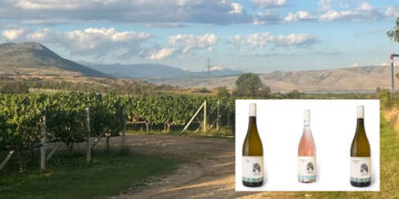 Arktos Elevation Vineyards: Το νέο εγχείρημα του Αρτέμη Καραμολέγκου στο Αμύνταιο ανοίγει τα οινικά… φτερά του