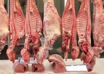 Πάσχα: Στα 16-17 ευρώ το κιλό αναμένεται η τιμή αρνιού και κατσικιού:  Από αύριο, Σάββατο του Λαζάρου, ξεκινάει ο εφοδιασμός των κρεοπωλείων της Εορδαίας