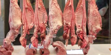 Πάσχα: Στα 16-17 ευρώ το κιλό αναμένεται η τιμή αρνιού και κατσικιού:  Από αύριο, Σάββατο του Λαζάρου, ξεκινάει ο εφοδιασμός των κρεοπωλείων της Εορδαίας