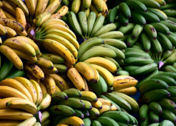 Αν δείτε αυτά στηv μπανάνα, πετάξτε την, μην τη φάτε