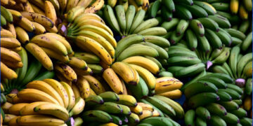 Αν δείτε αυτά στηv μπανάνα, πετάξτε την, μην τη φάτε