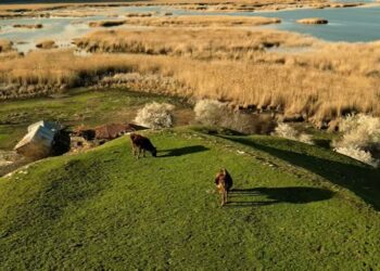 Ακούστε το τραγούδι των μαθητών του 1ου Δημοτικού Σχολείου Πτολεμαΐδας, με θέμα το περιβάλλον