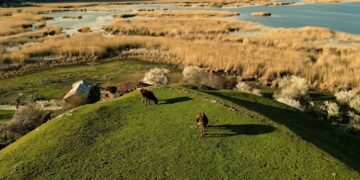 Ακούστε το τραγούδι των μαθητών του 1ου Δημοτικού Σχολείου Πτολεμαΐδας, με θέμα το περιβάλλον