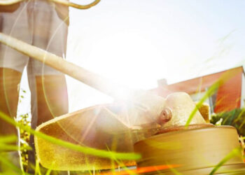 Υπενθύμιση από τον Δήμο Κοζάνης: Υποχρεωτικός ο καθαρισμός ακάλυπτων χώρων ενόψει της αντιπυρικής περιόδου 2025