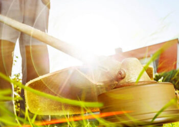 Δήμος Κοζάνης: Παράταση για τον καθαρισμό οικοπέδων ενόψει της αντιπυρικής περιόδου 2025  