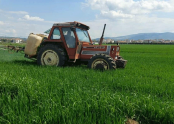 Ολοκληρώνεται το ράντισμα των σιτηρών, στον κάμπο της Εορδαίας (της Κούλας Πουλασιχίδου)