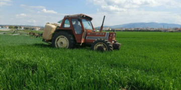 Ολοκληρώνεται το ράντισμα των σιτηρών, στον κάμπο της Εορδαίας (της Κούλας Πουλασιχίδου)