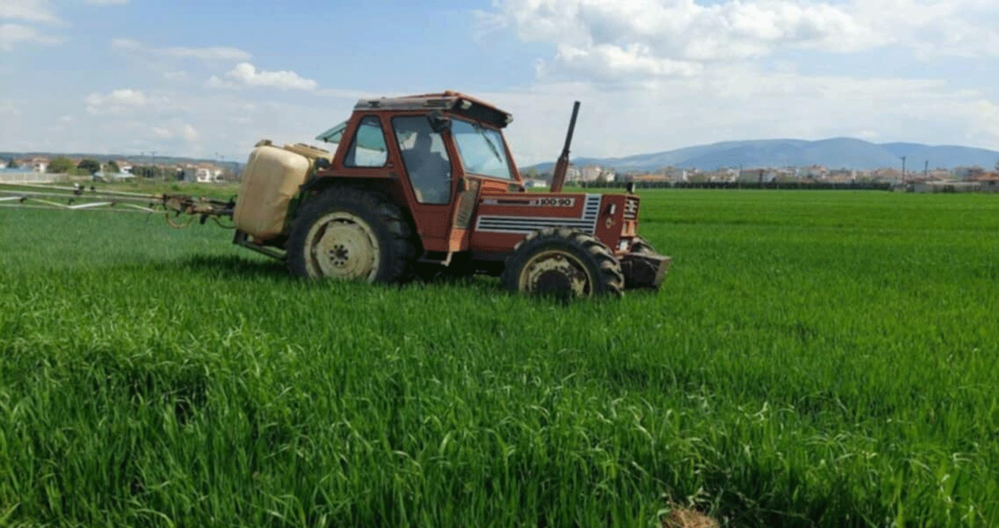 Ολοκληρώνεται το ράντισμα των σιτηρών, στον κάμπο της Εορδαίας (της Κούλας Πουλασιχίδου)