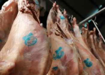 Πτολεμαΐδα: Μειώσεις στις πωλήσεις αμνοεριφίων το Πάσχα