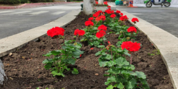 “Άνθισε” το Κέντρο της Πτολεμαΐδας