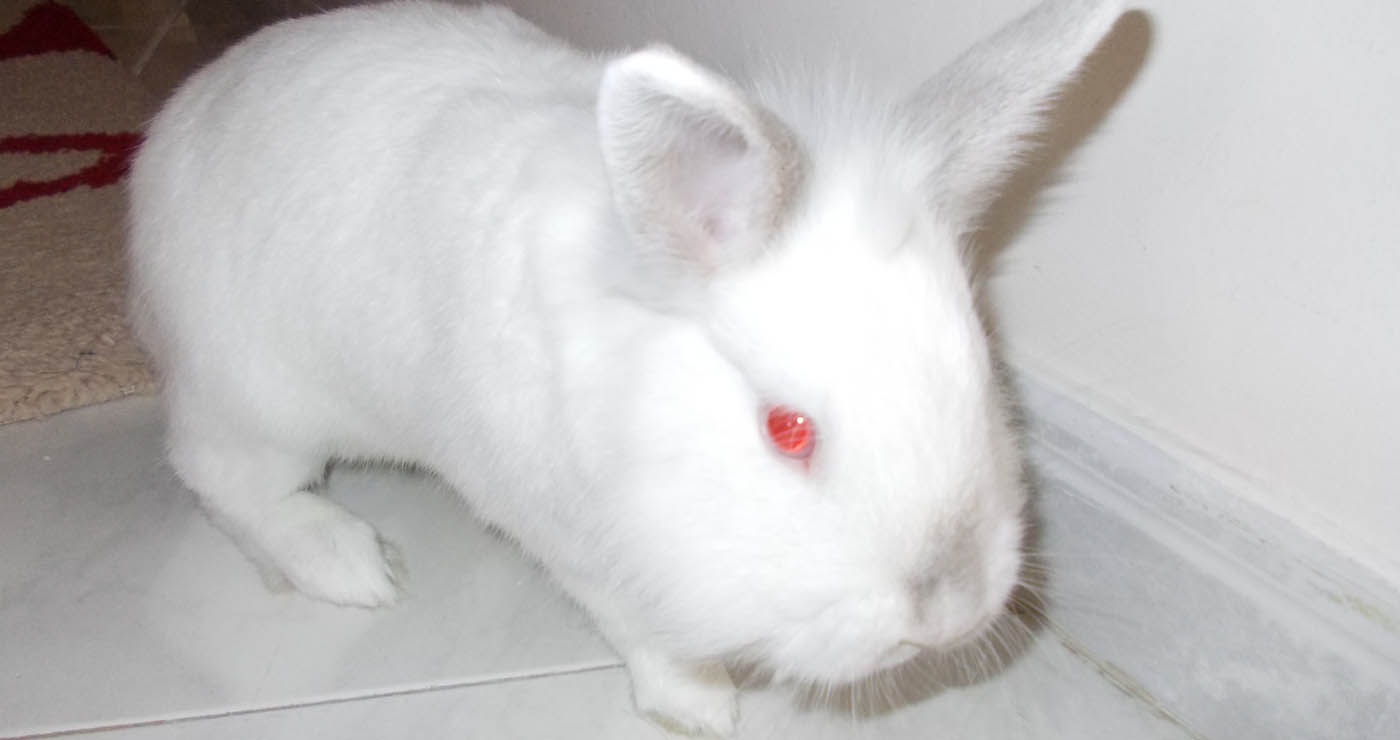 Ο Μελβούλης (Γράφει ο Ευστάθιος Λαμπριανίδης)