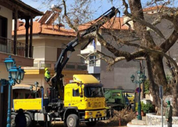 Ξεκινά κλάδεμα των πλατανιών στη Σιάτιστα