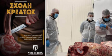 Σχολή Κρέατος Volteros: Αναγνωρισμένο Πιστοποιητικό Επαγγελματία Κρεοπώλη από το Υπουργείο Αγροτικής Ανάπτυξης και Τροφίμων (Νέος Κύκλος)