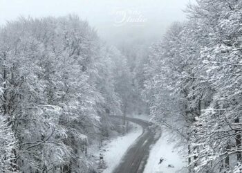 Μαγικές σημερινές εικόνες στο Βίτσι Καστοριάς!