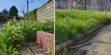 Πτολεμαΐδα: Ακούρευτα τα χόρτα και στα Νεκροταφεία Αγίου Στεφάνου και τους γύρω χώρους (Φωτογραφίες)