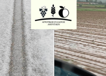 Επιστολή του Αγροτικού Συλλόγου Αμυνταίου στο ΥΠΑΑΤ για την χαλαζόπτωση που έπληξε τις καλλιέργειες