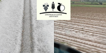 Επιστολή του Αγροτικού Συλλόγου Αμυνταίου στο ΥΠΑΑΤ για την χαλαζόπτωση που έπληξε τις καλλιέργειες