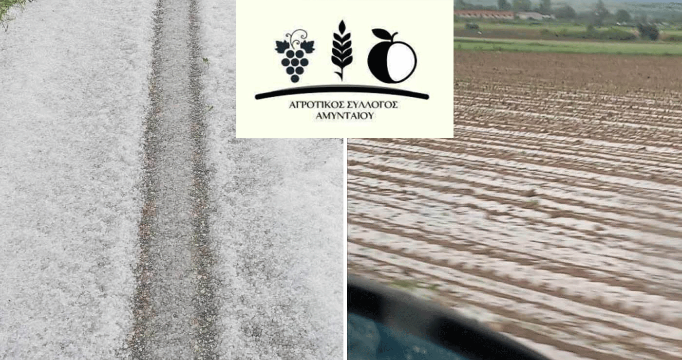 Επιστολή του Αγροτικού Συλλόγου Αμυνταίου στο ΥΠΑΑΤ για την χαλαζόπτωση που έπληξε τις καλλιέργειες