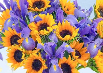 Ανθοκομική Έκθεση Εορδαίας: Επίσημα στο Παλιό Πάρκο – Δείτε ποιες ημερομηνίες