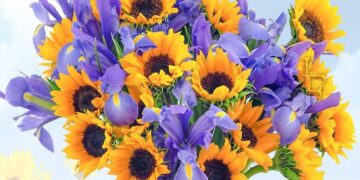 Ανθοκομική Έκθεση Εορδαίας: Επίσημα στο Παλιό Πάρκο – Δείτε ποιες ημερομηνίες