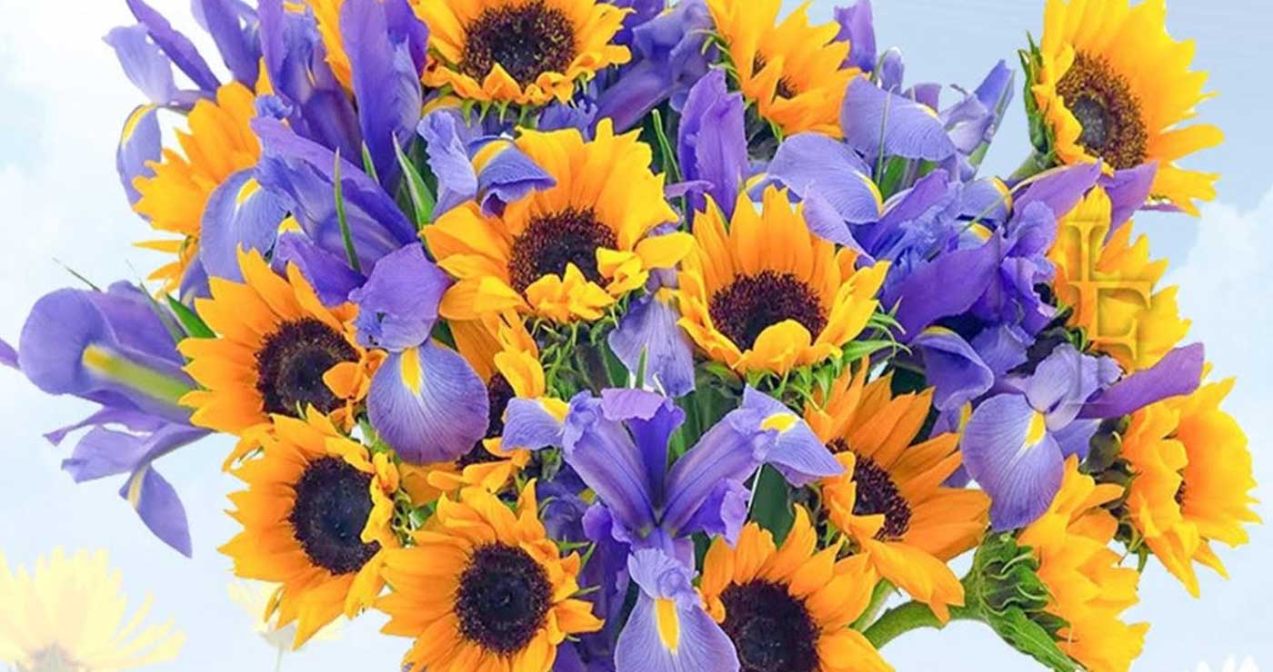 Ανθοκομική Έκθεση Εορδαίας: Επίσημα στο Παλιό Πάρκο – Δείτε ποιες ημερομηνίες