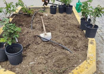 Γρεβενά: Συμβολική δενδροφύτευση για τη Γιορτή της Μητέρας