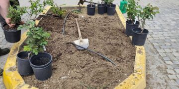 Γρεβενά: Συμβολική δενδροφύτευση για τη Γιορτή της Μητέρας