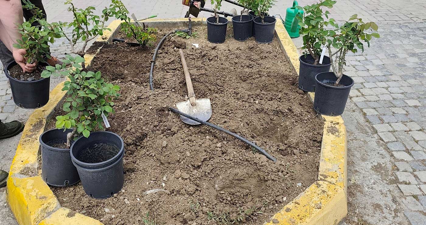 Γρεβενά: Συμβολική δενδροφύτευση για τη Γιορτή της Μητέρας