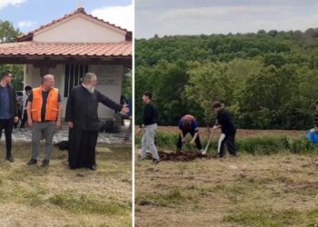 Μαθητές από το Γυμνάσιο και το Δημοτικό Νεάπολης φύτεψαν δεκάδες δέντρα