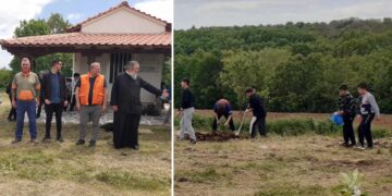 Μαθητές από το Γυμνάσιο και το Δημοτικό Νεάπολης φύτεψαν δεκάδες δέντρα