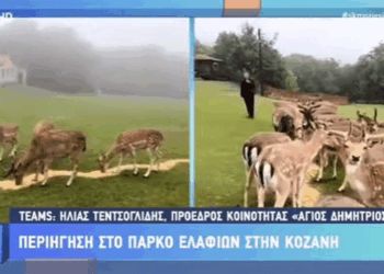 Στο πάρκο Ελαφιών Αγίου Παντελεήμονα στον Άγ. Δημήτριο Κοζάνης βρέθηκε η εκπομπή “Σαββατοκύριακο με τον Μάνεση” (Βίντεο)