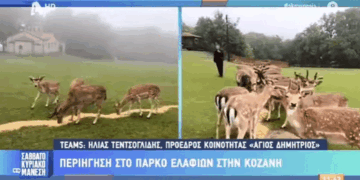 Στο πάρκο Ελαφιών Αγίου Παντελεήμονα στον Άγ. Δημήτριο Κοζάνης βρέθηκε η εκπομπή “Σαββατοκύριακο με τον Μάνεση” (Βίντεο)