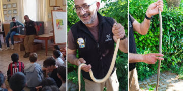 Καστοριά: Φίδι έκοβε βόλτες σε σχολείο – Το απομάκρυνε ειδικός