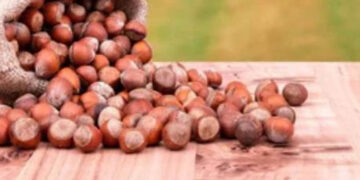 Εσπερίδα με θέμα: «Βιωσιμότητα και προοπτικές στην παραγωγή φουντουκιών στο Δήμο Βοΐου – Η εμπειρία της Ξάνθης»