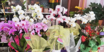 Ύμνος στη  ΜΗΤΕΡΑ!!! (της Κούλας Πουλασιχίδου)