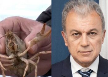 Αμανατίδης: «Εγκρίνονται οι αποζημιώσεις για τους αλιείς καραβίδας»