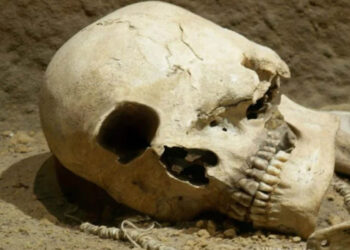 Ο Κύκλωπας της Κοζάνης: Το τηλεγράφημα του νομάρχη που προκάλεσε παγκόσμιο ενδιαφέρον για την ύπαρξη των μονόφθαλμων γιγάντων