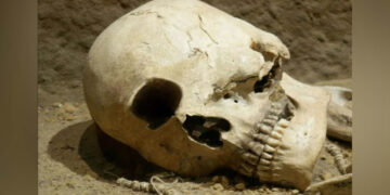 Ο Κύκλωπας της Κοζάνης: Το τηλεγράφημα του νομάρχη που προκάλεσε παγκόσμιο ενδιαφέρον για την ύπαρξη των μονόφθαλμων γιγάντων