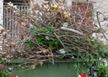 Ολυμπιάδα Εορδαίας: Αυστηρή προειδοποίηση για χόρτα και κλαδιά στους κάδους – “Θα επιβάλλονται πρόστιμα”